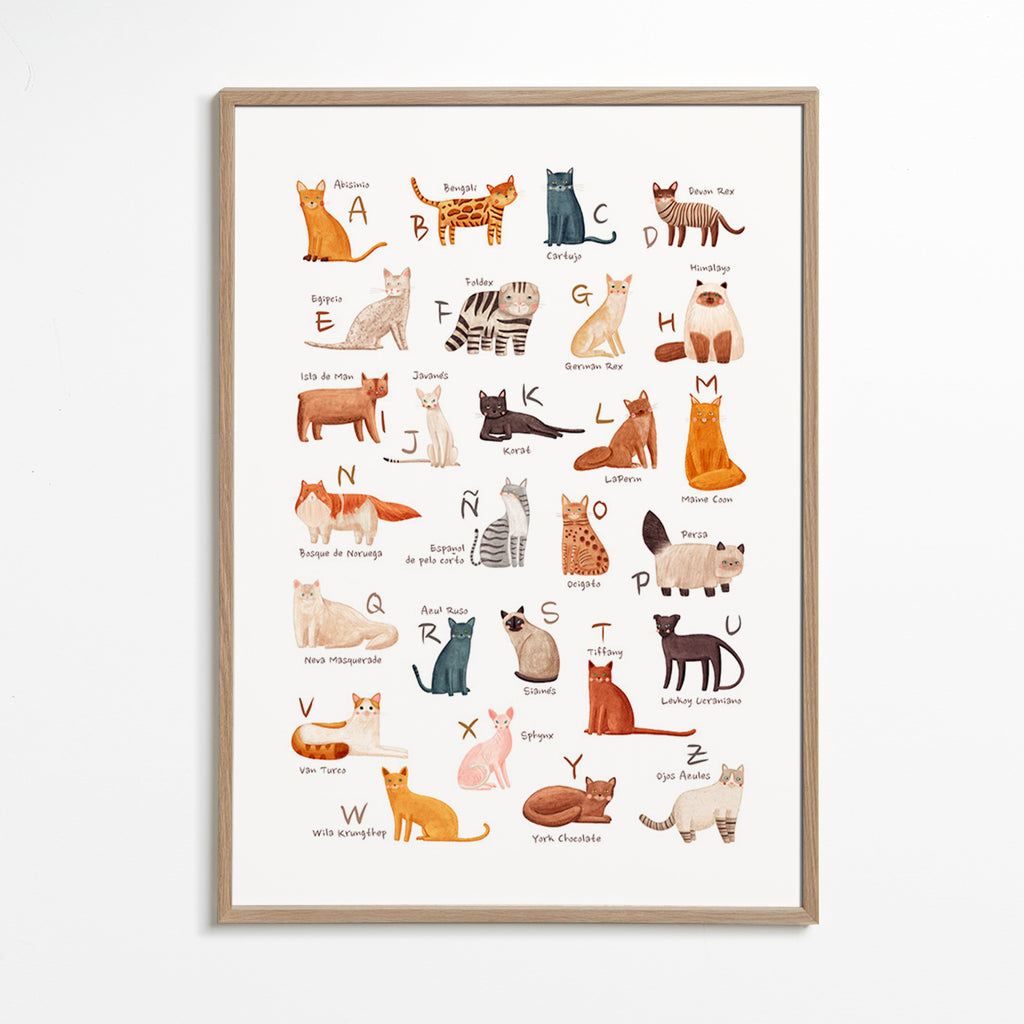 Barnposter Illustrerat kattalfabet
