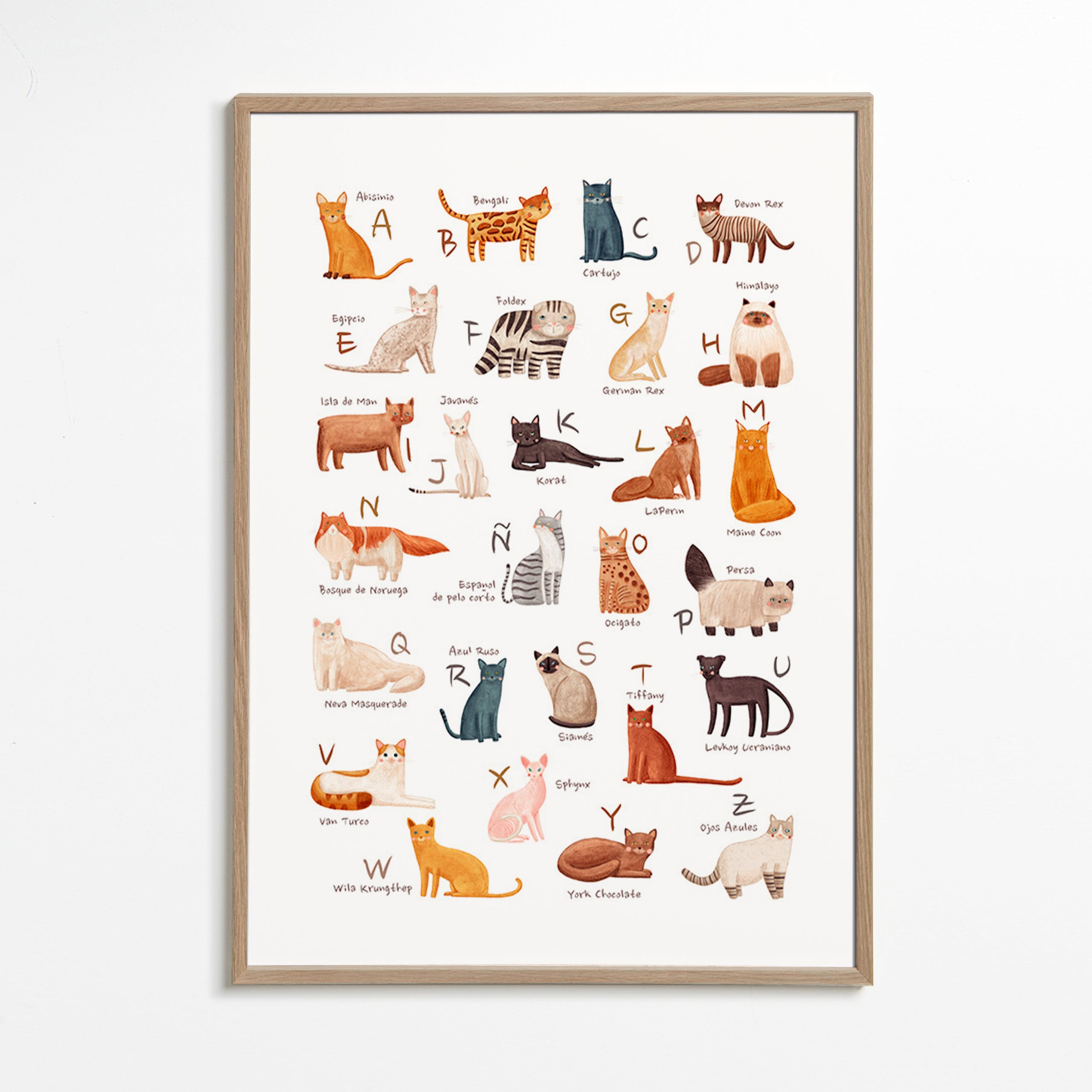 Barnposter Illustrerat kattalfabet