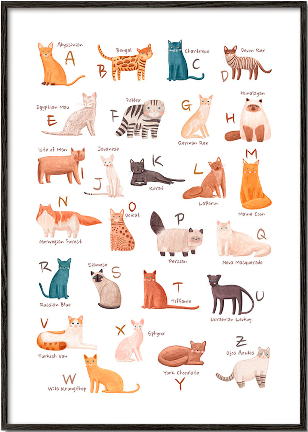 Barnposter: illustrerat kattalfabet
