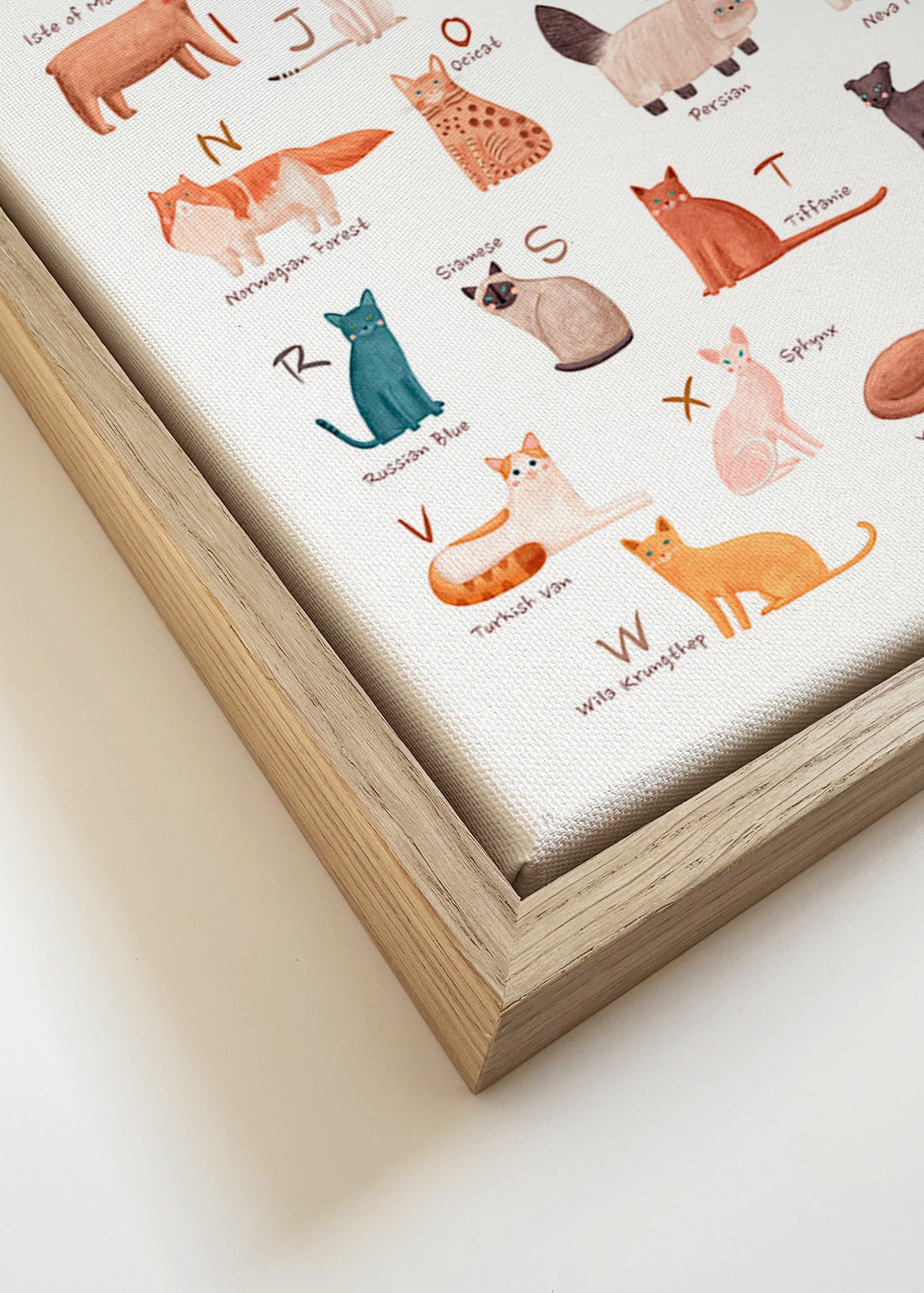 Barnposter: illustrerat kattalfabet