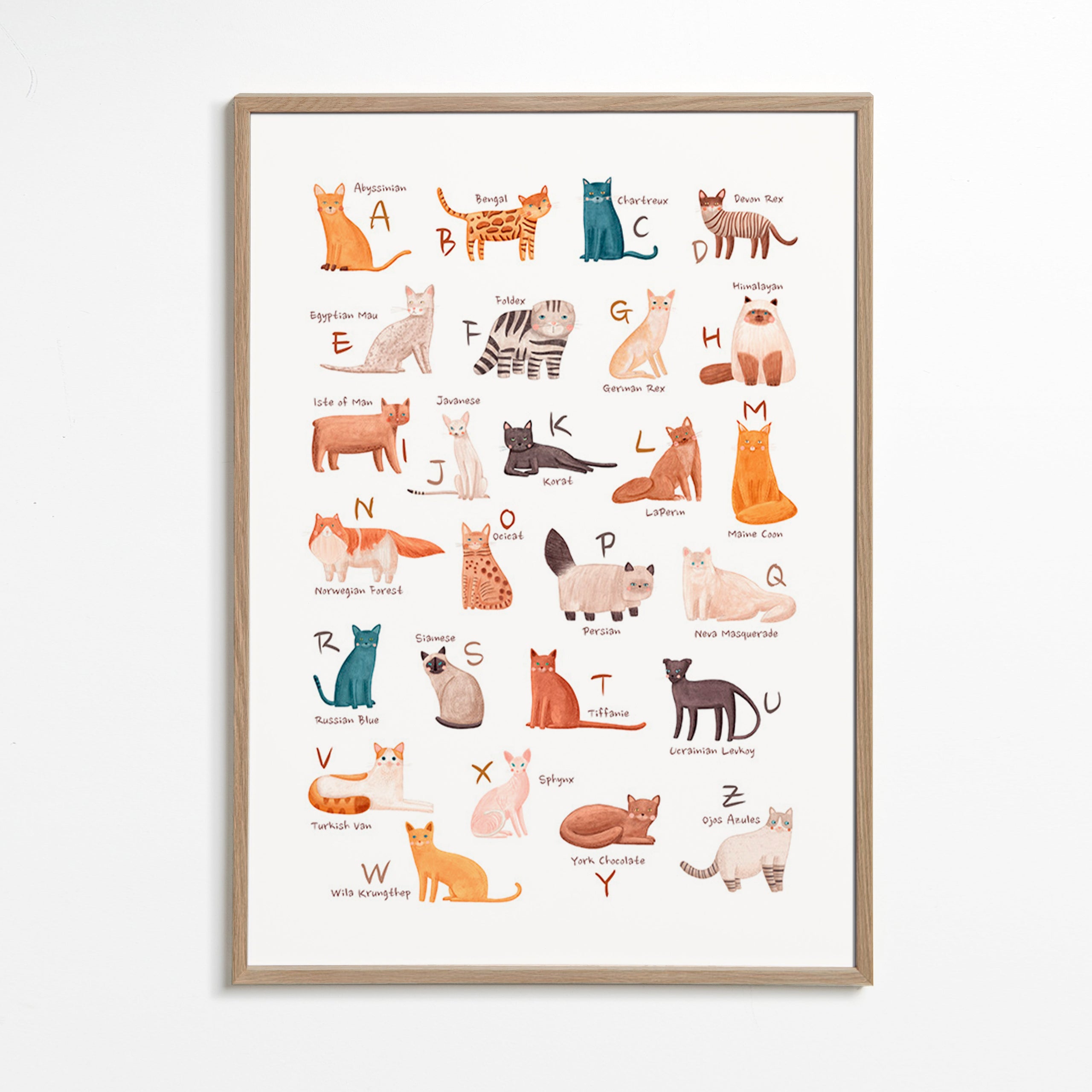 Barnposter: illustrerat kattalfabet
