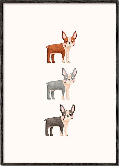 Konst Tre Boston Terriers