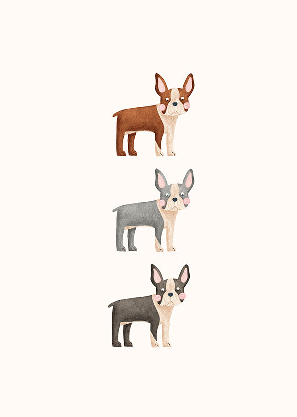 Konst Tre Boston Terriers