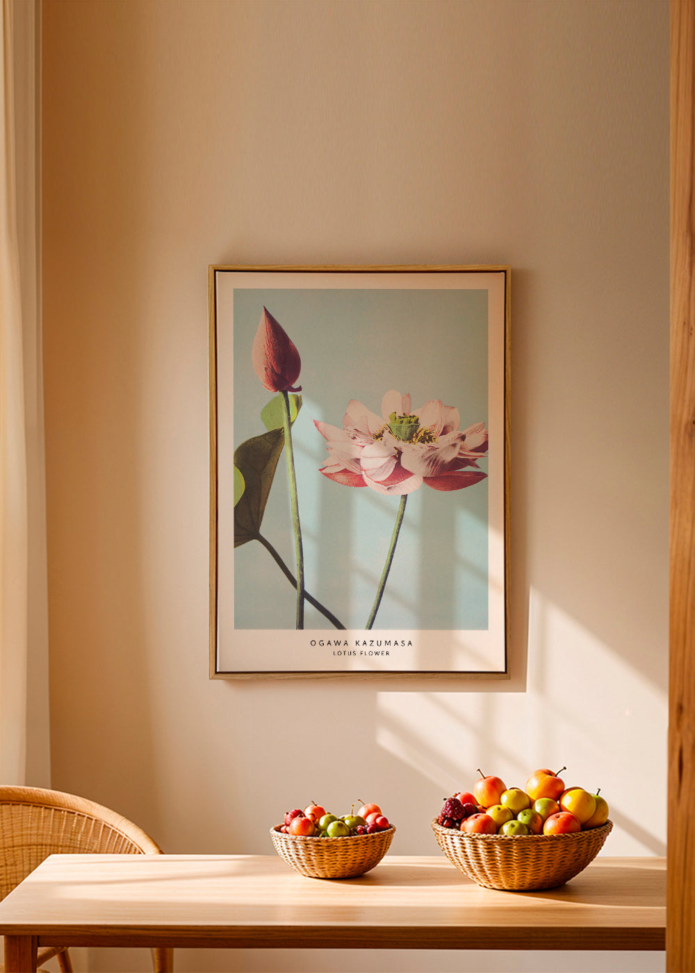 Botanisk poster lotusblomma mot blå bakgrund