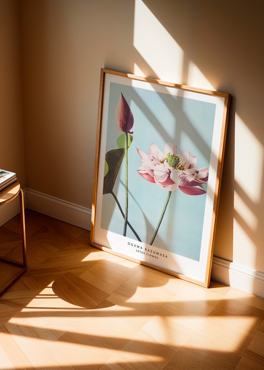 Botanisk poster lotusblomma mot blå bakgrund