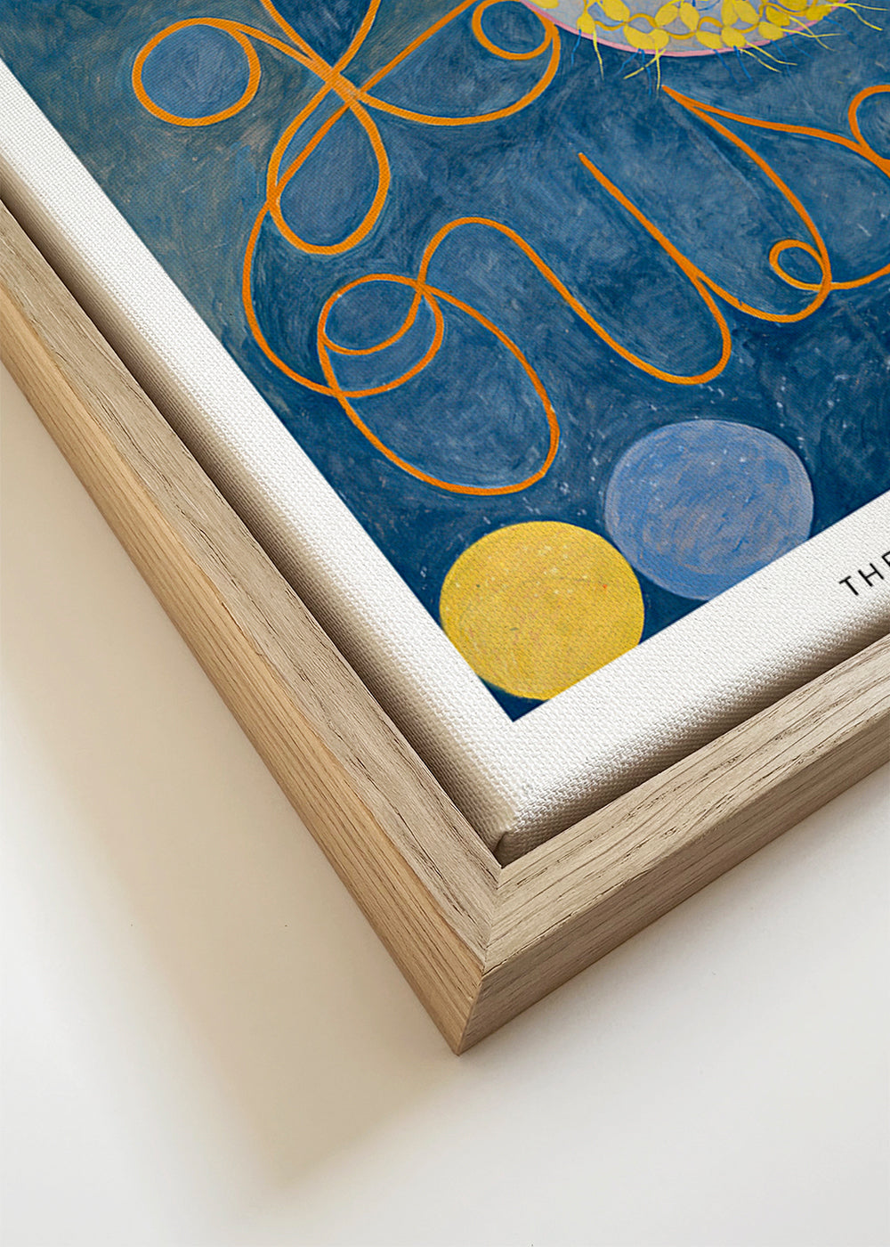 Botanisk poster med rosor och cirkelmotiv