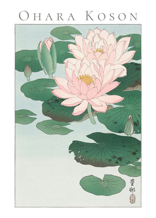Botanisk poster med japansk vattenlilja
