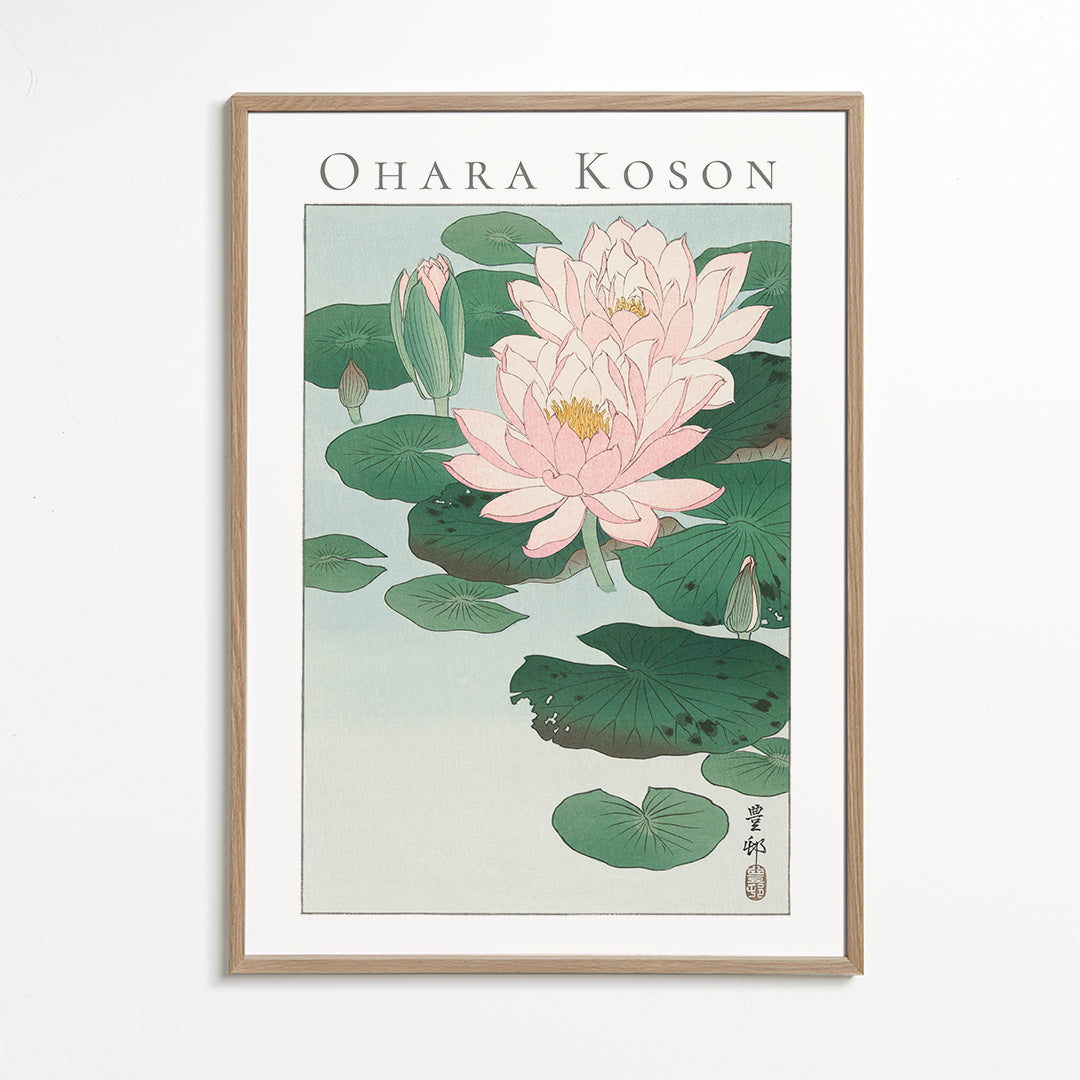 Botanisk poster med japansk vattenlilja