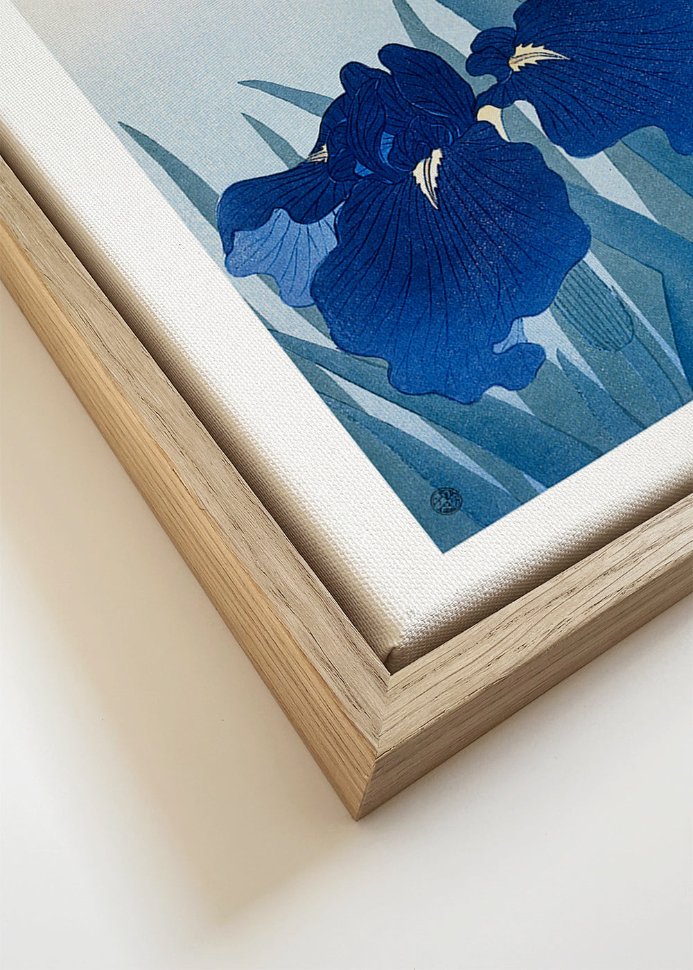 Botanisk poster blå iris