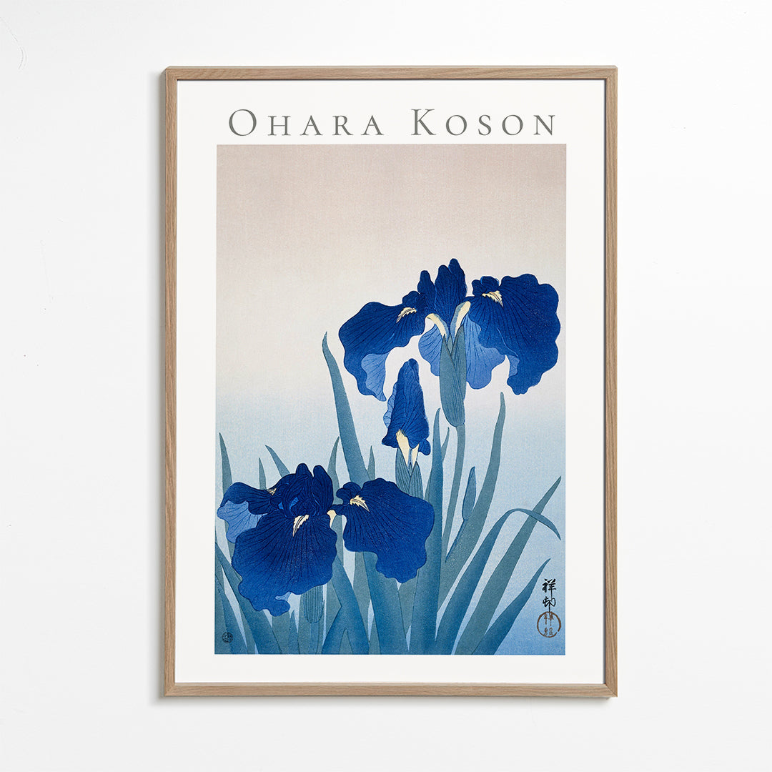 Botanisk poster blå iris