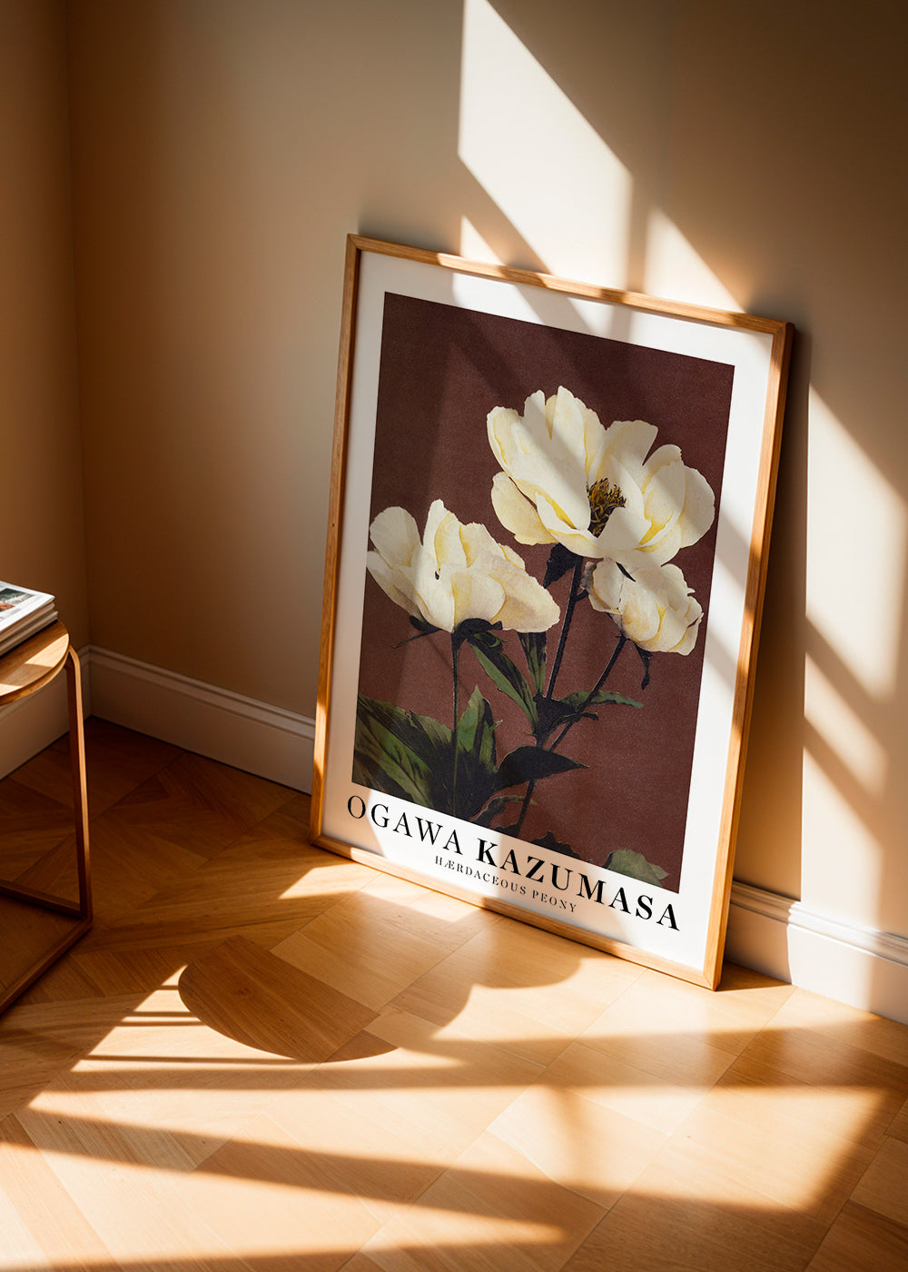 Botanisk poster vit pion