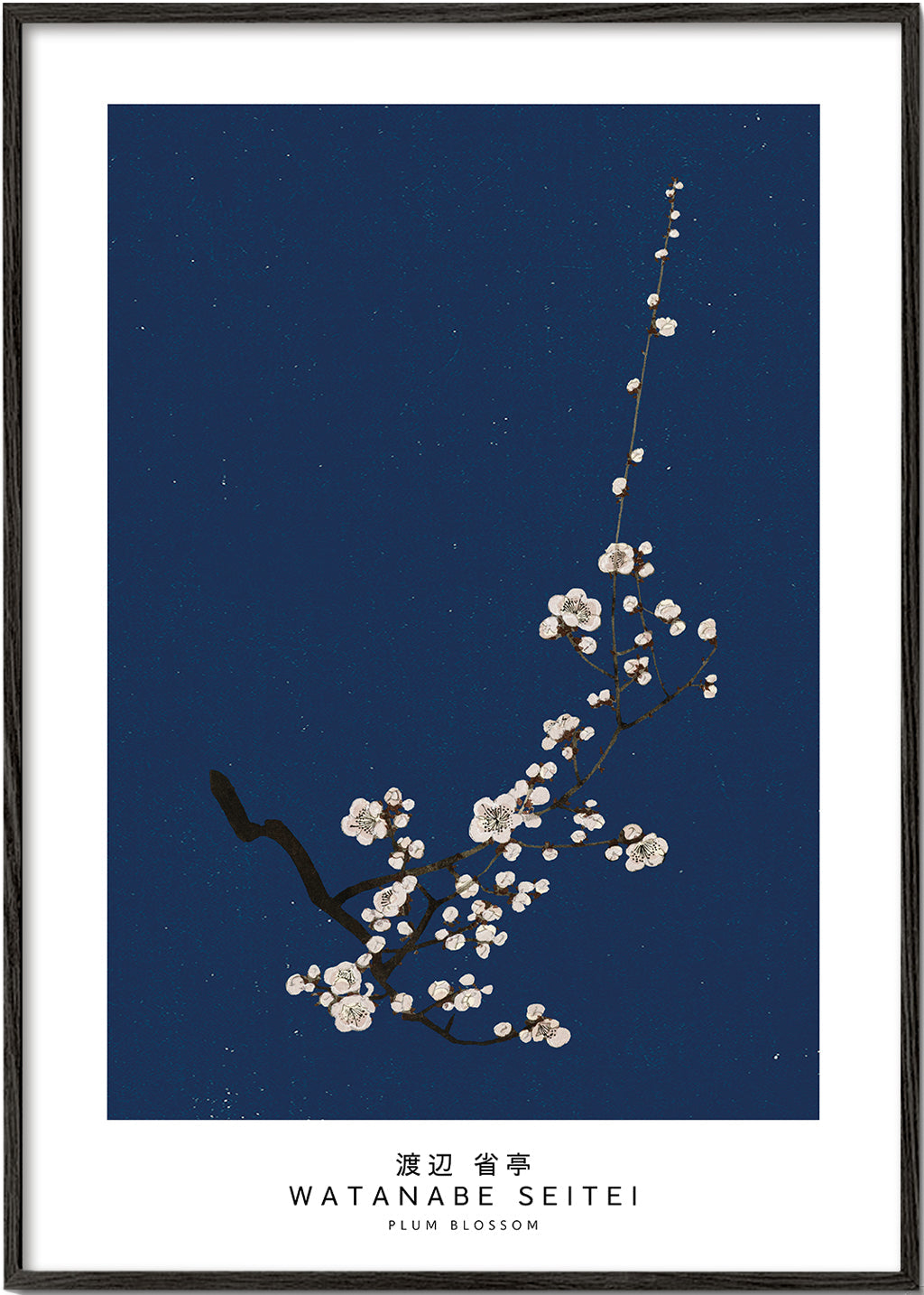 Botanisk poster: plommonblom på djupblå bakgrund