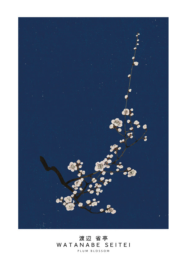 Botanisk poster: plommonblom på djupblå bakgrund