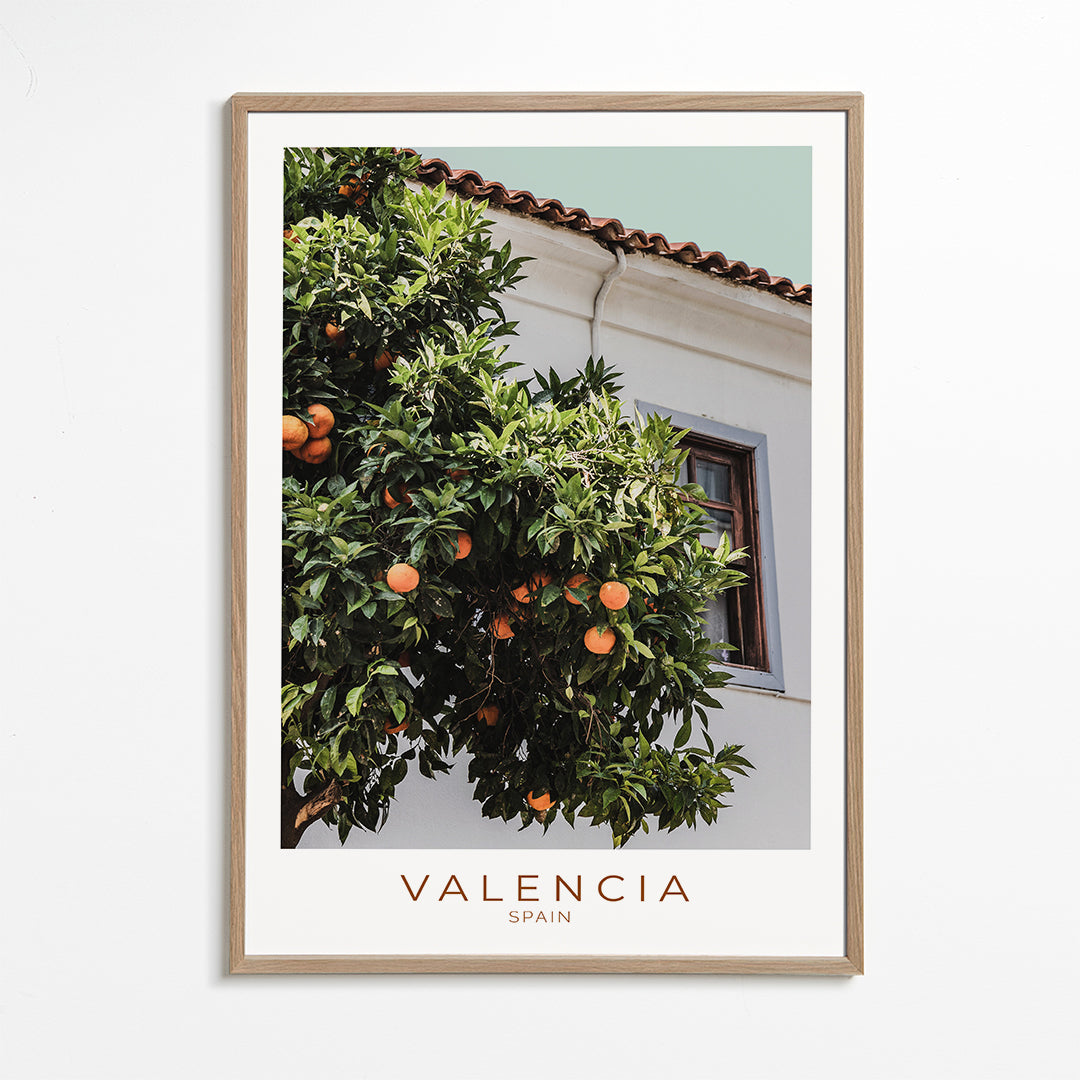 Stadskonst Valencia med apelsinträd