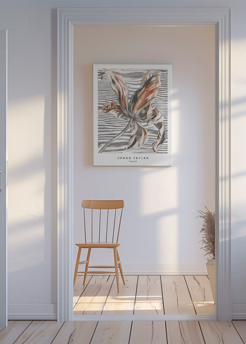 Botanisk poster: tulpan skiss