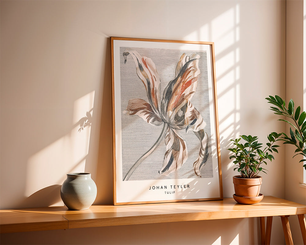 Botanisk poster: tulpan skiss