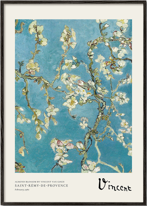 Botanisk poster mandelgrenar på blå bakgrund