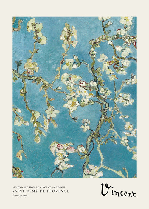 Botanisk poster mandelgrenar på blå bakgrund
