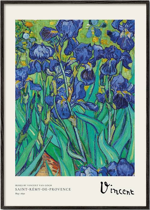 Botanisk poster: blå iris med uttrycksfull pensel