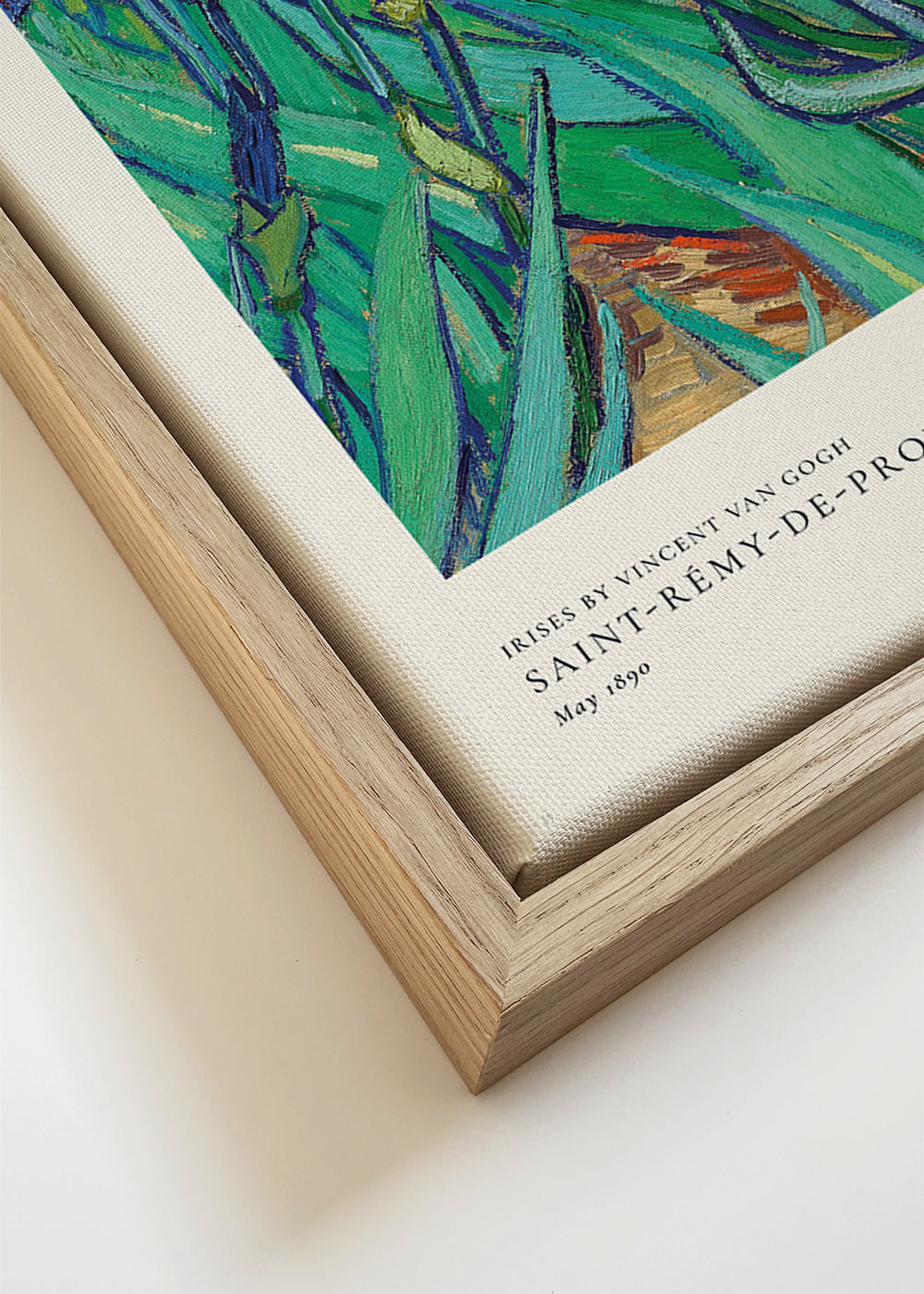 Botanisk poster: blå iris med uttrycksfull pensel