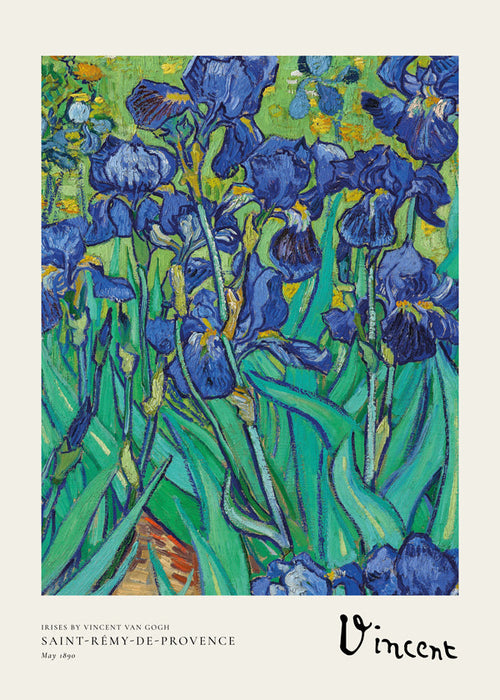 Botanisk poster: blå iris med uttrycksfull pensel