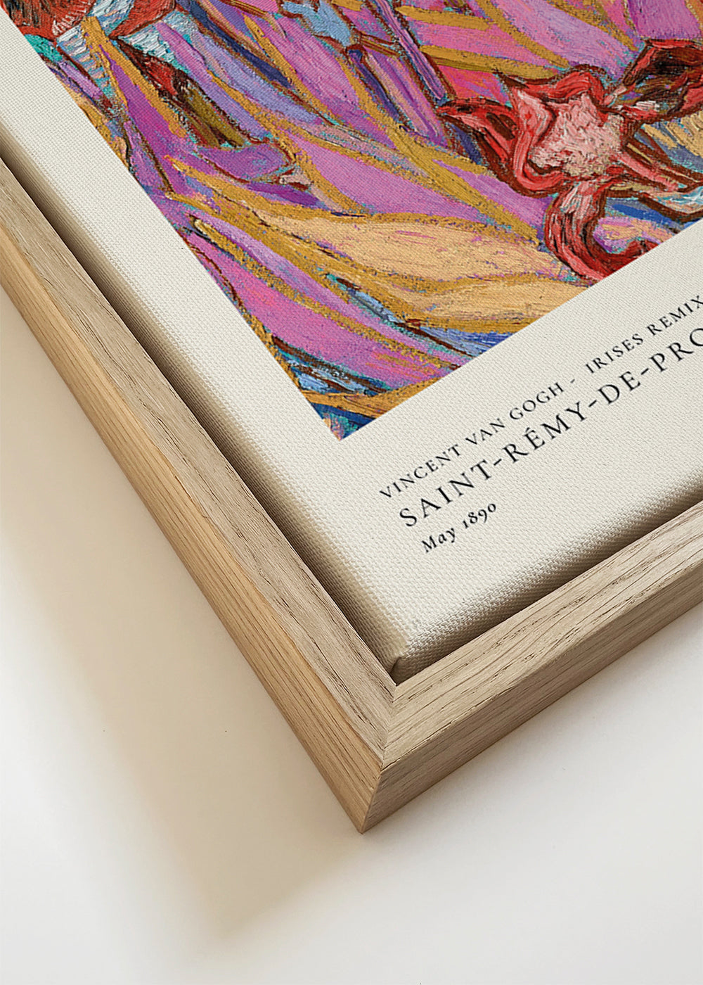 Botanisk poster: Färgstarka iris