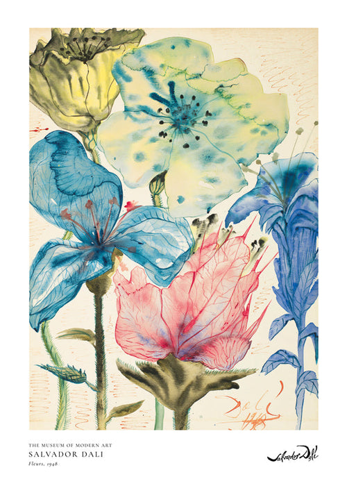 Botanisk poster Dali blommor i akvarell