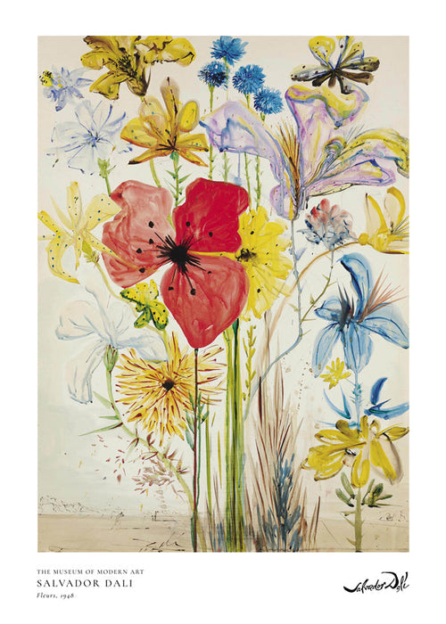 Botanisk poster med röd vallmo i bukett