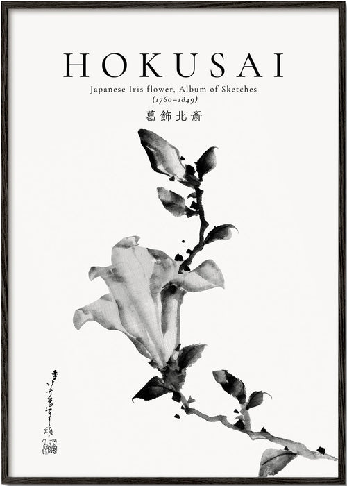 Botanisk poster Hokusai: japansk iris i bläck