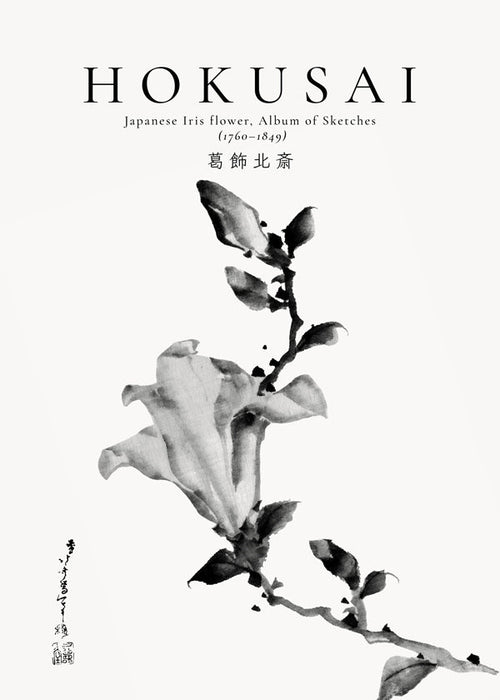 Botanisk poster Hokusai: japansk iris i bläck