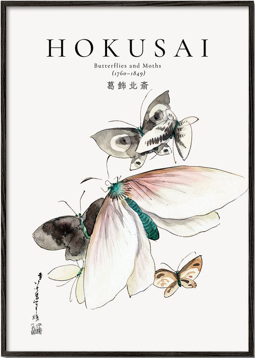 Hokusai fjärilsillustration i bläck och akvarell