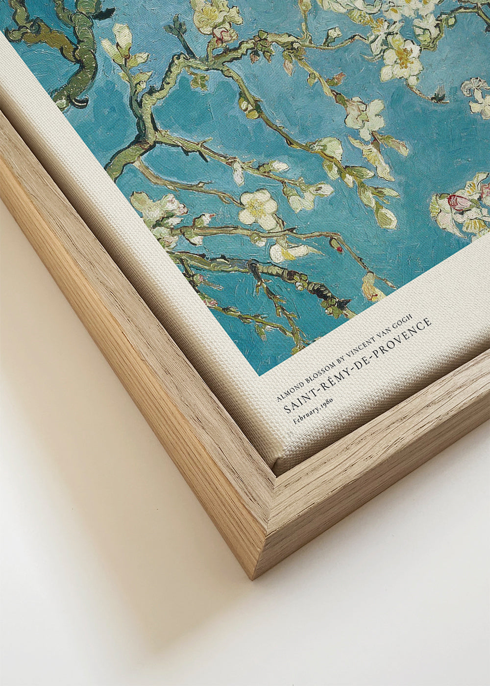 Botanisk poster: mandelblom på blått