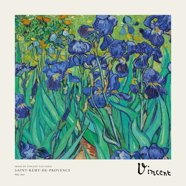 Botanisk poster med blå irisar
