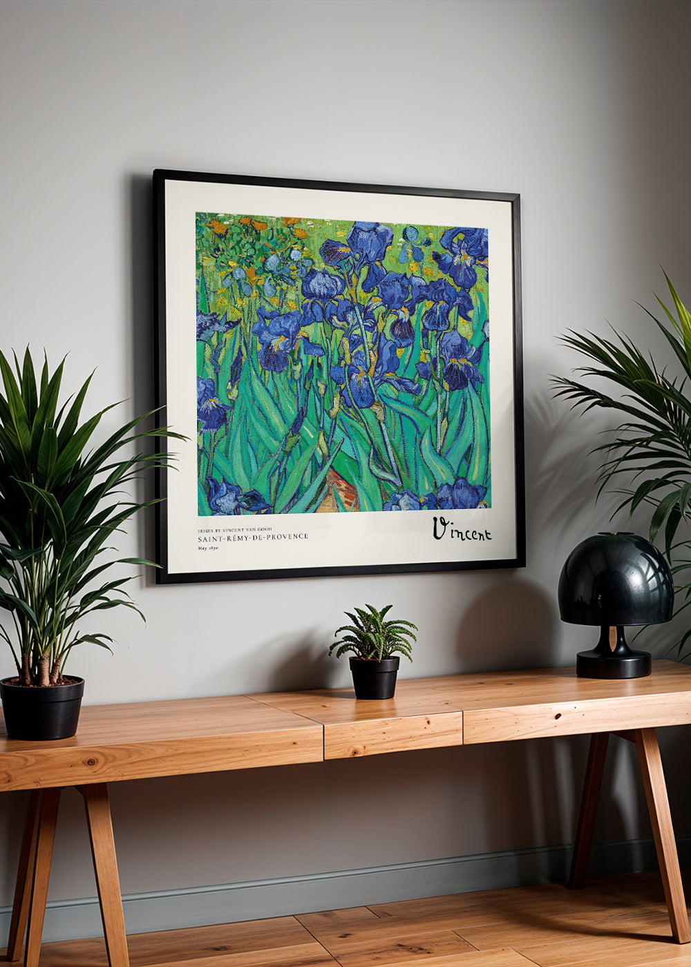 Botanisk poster med blå irisar
