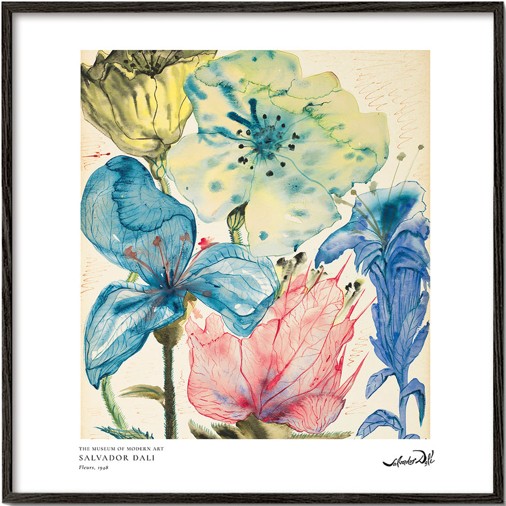 Botanisk poster: akvarell blå och rosa blommor