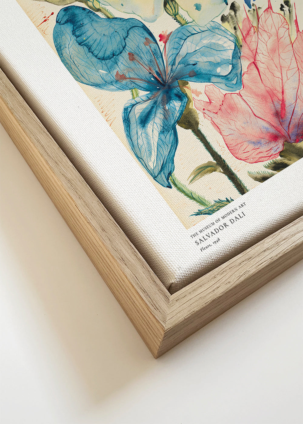 Botanisk poster: akvarell blå och rosa blommor