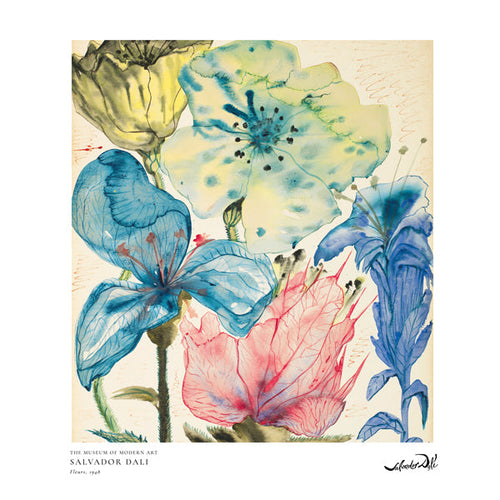 Botanisk poster: akvarell blå och rosa blommor