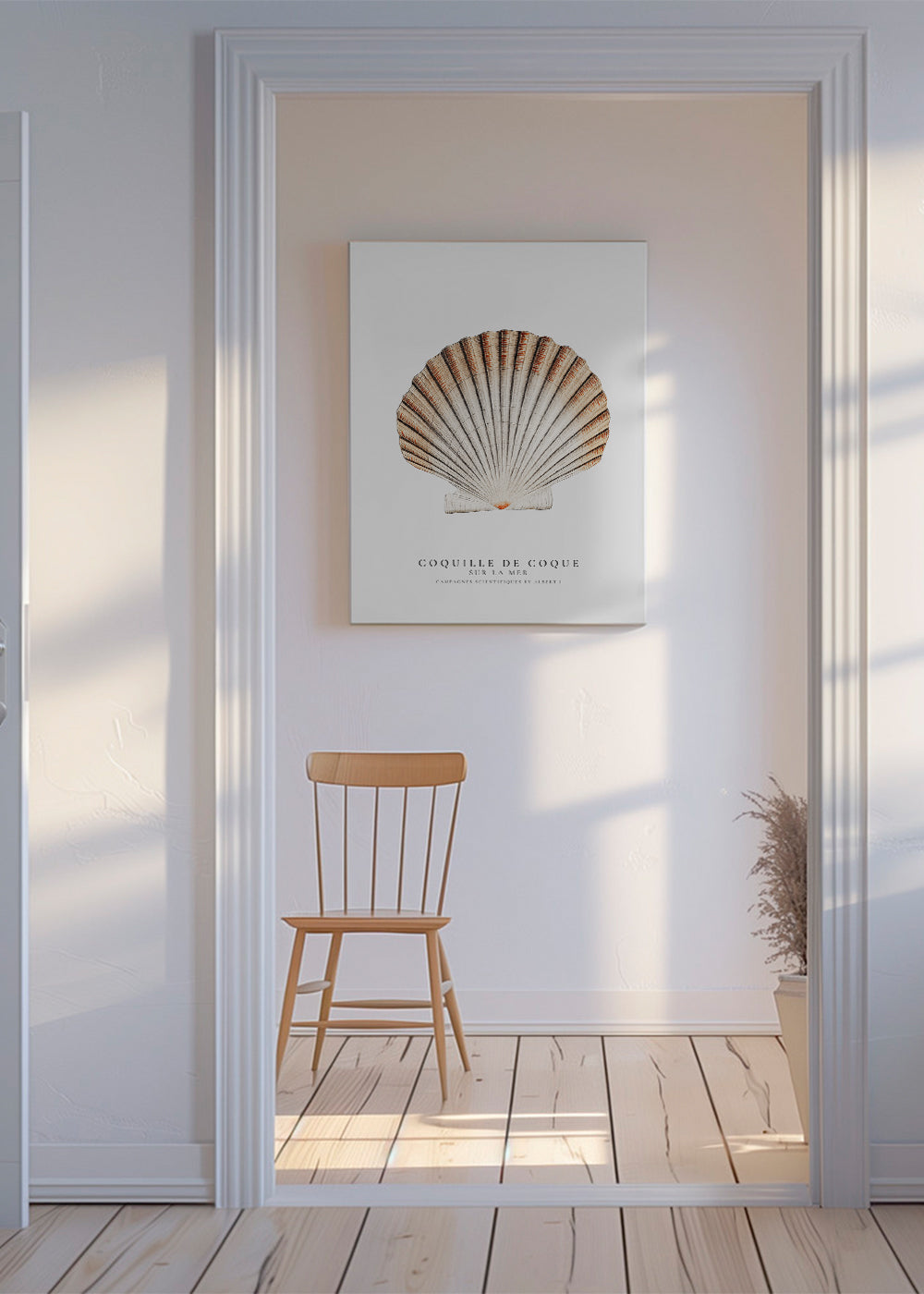 Vetenskaplig snäckillustration
