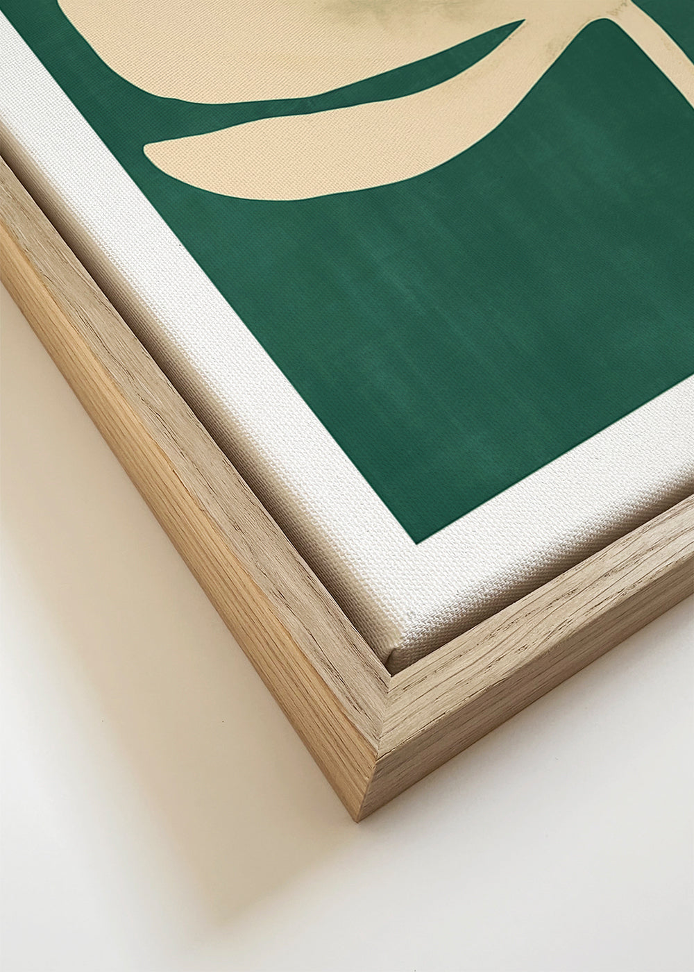 Botanisk poster: prästkrage i krämig siluett