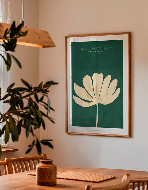 Botanisk poster: prästkrage i krämig siluett