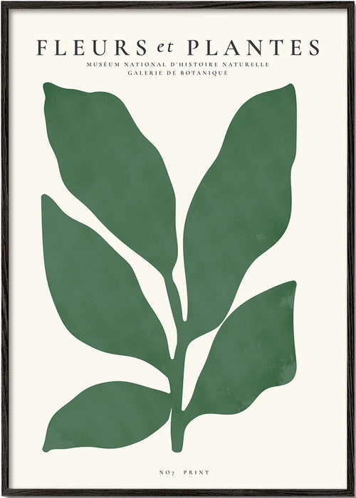 Botanisk poster med ett grönt blad