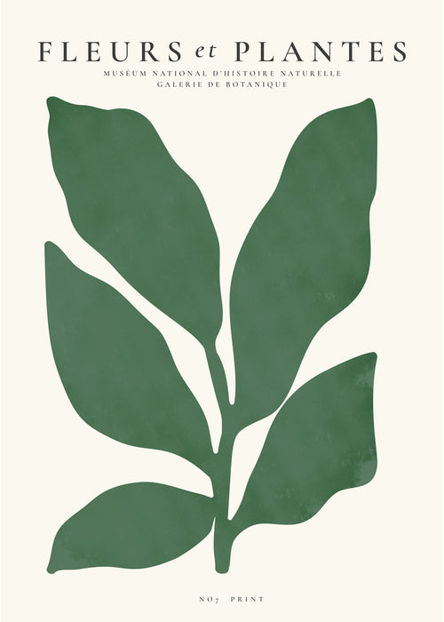 Botanisk poster med ett grönt blad