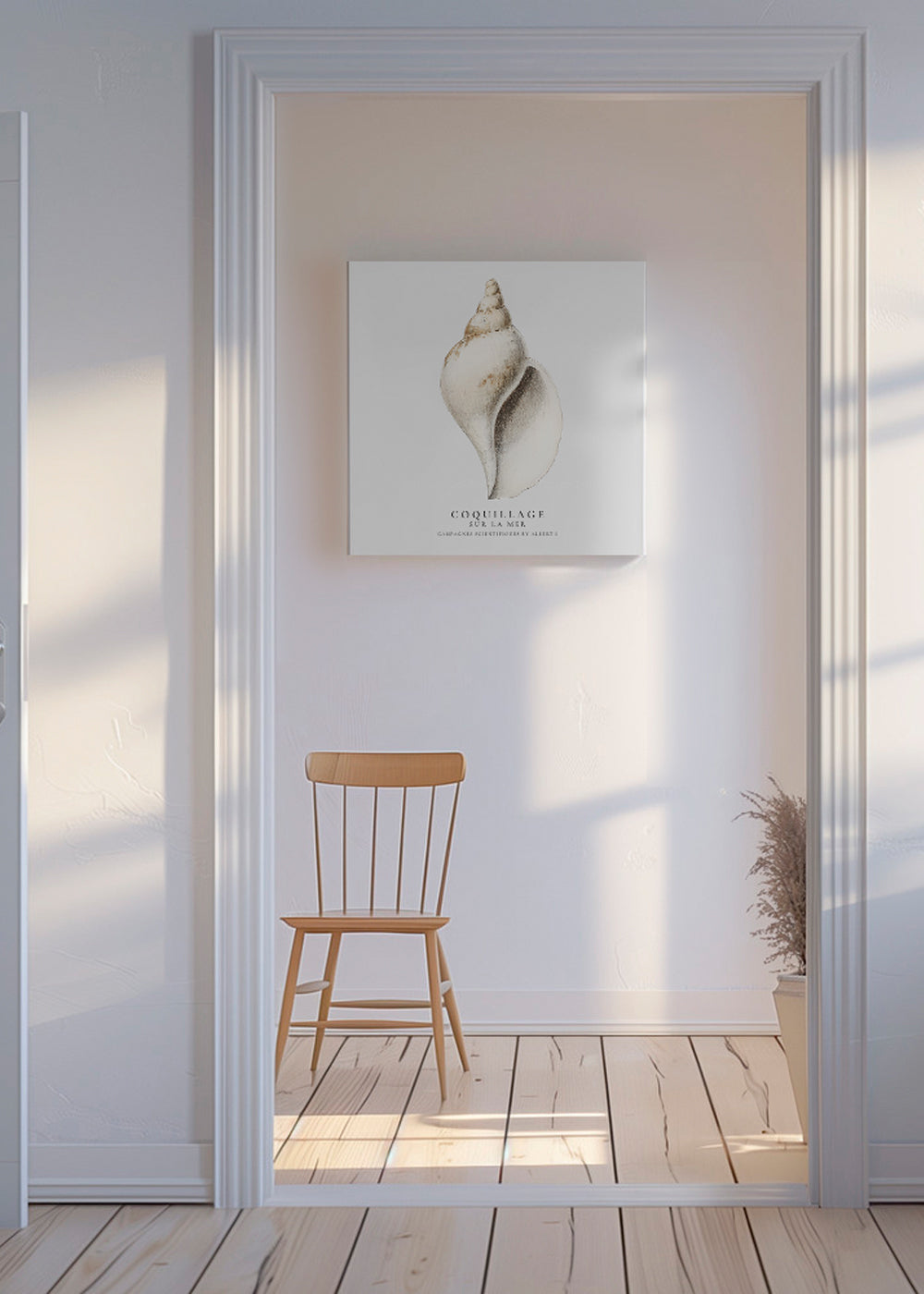 Vetenskaplig snäckillustration