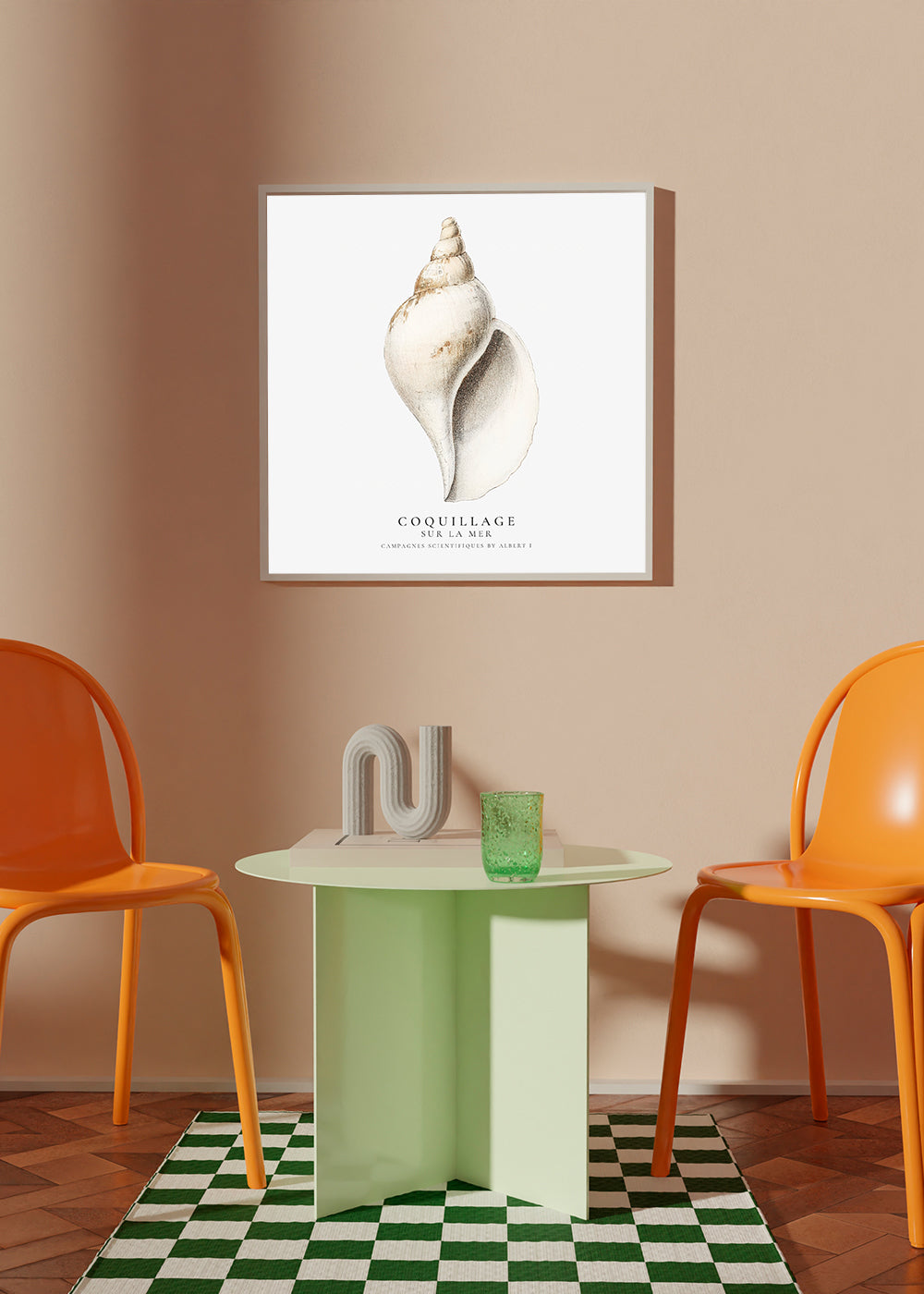 Vetenskaplig snäckillustration