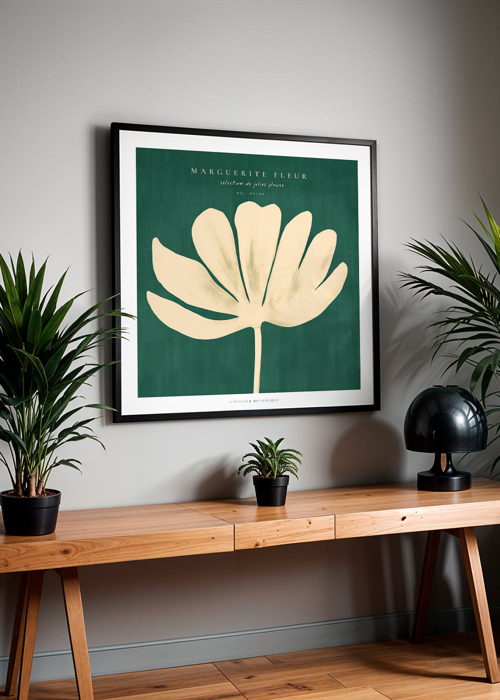 Botanisk poster: prästkrage mot grön bakgrund