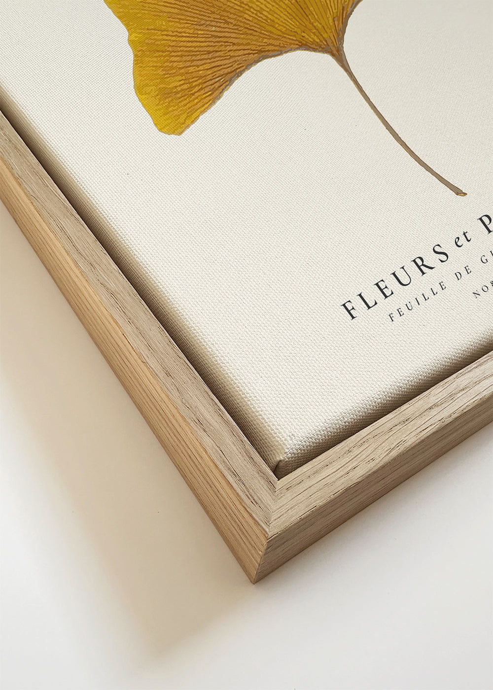 Botanisk poster ginkgo blad gult