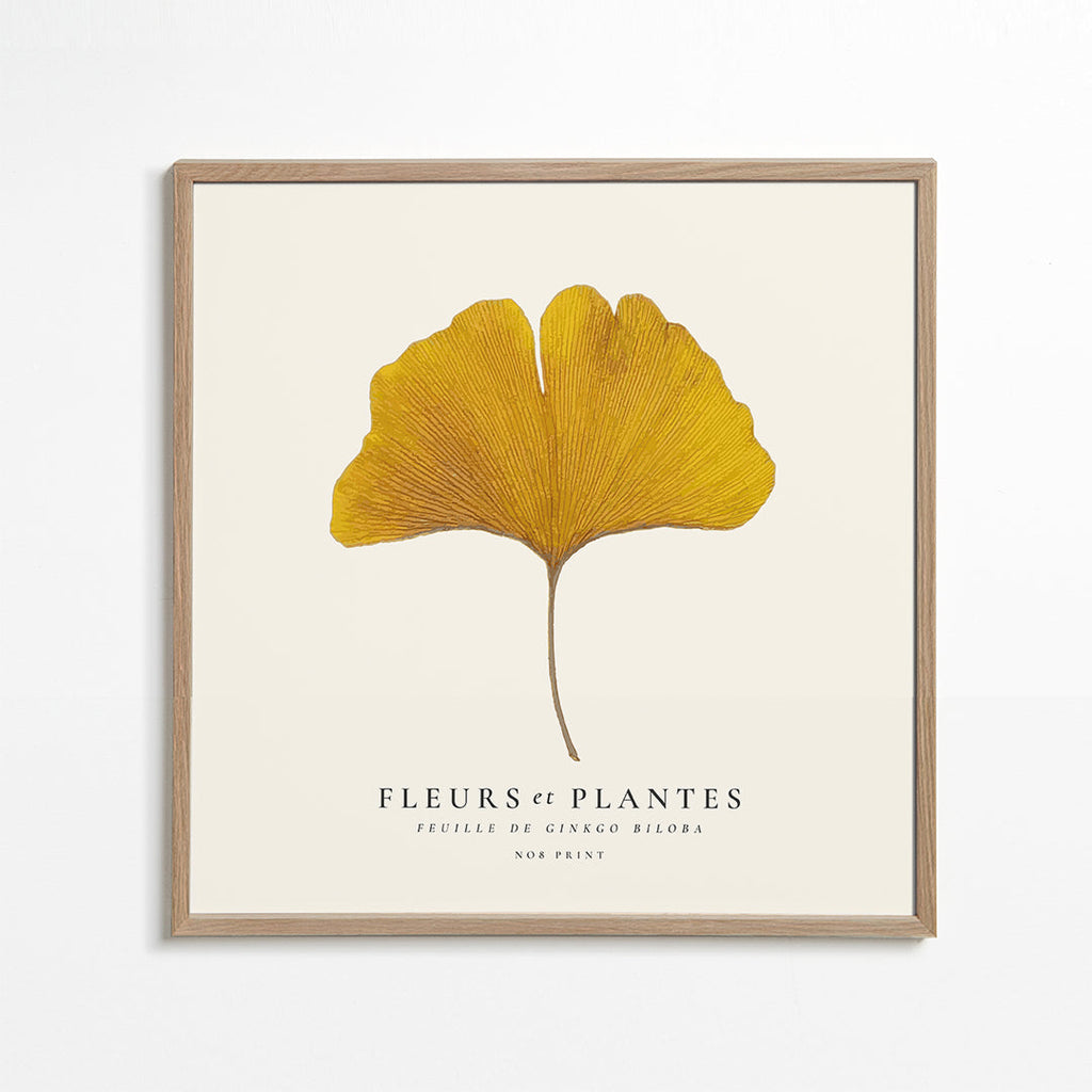 Botanisk poster ginkgo blad gult