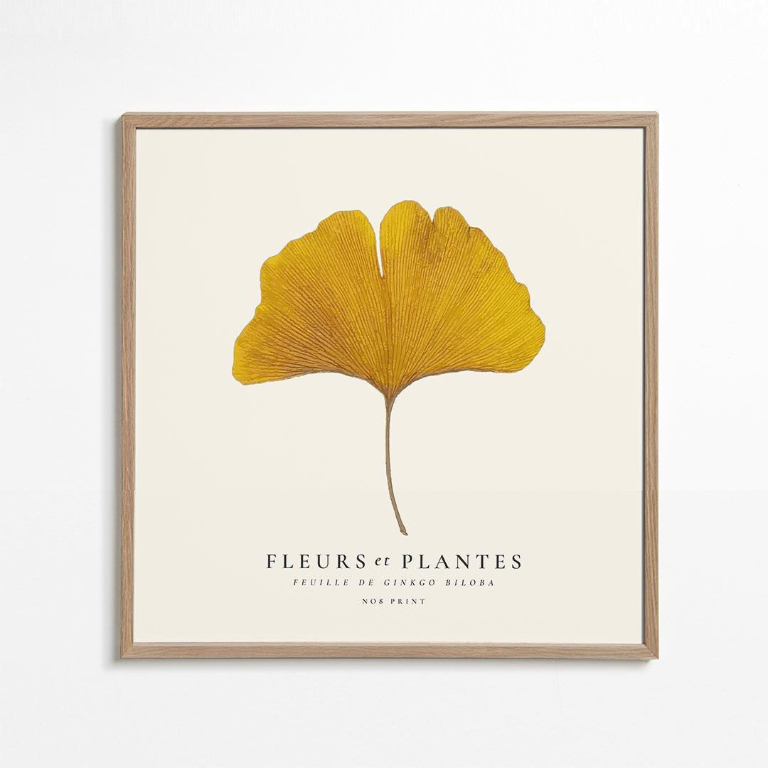 Botanisk poster ginkgo blad gult