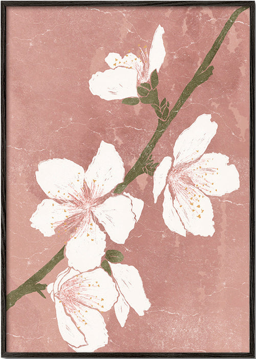 Botanisk poster med blomma på rosa bakgrund – Black Frame