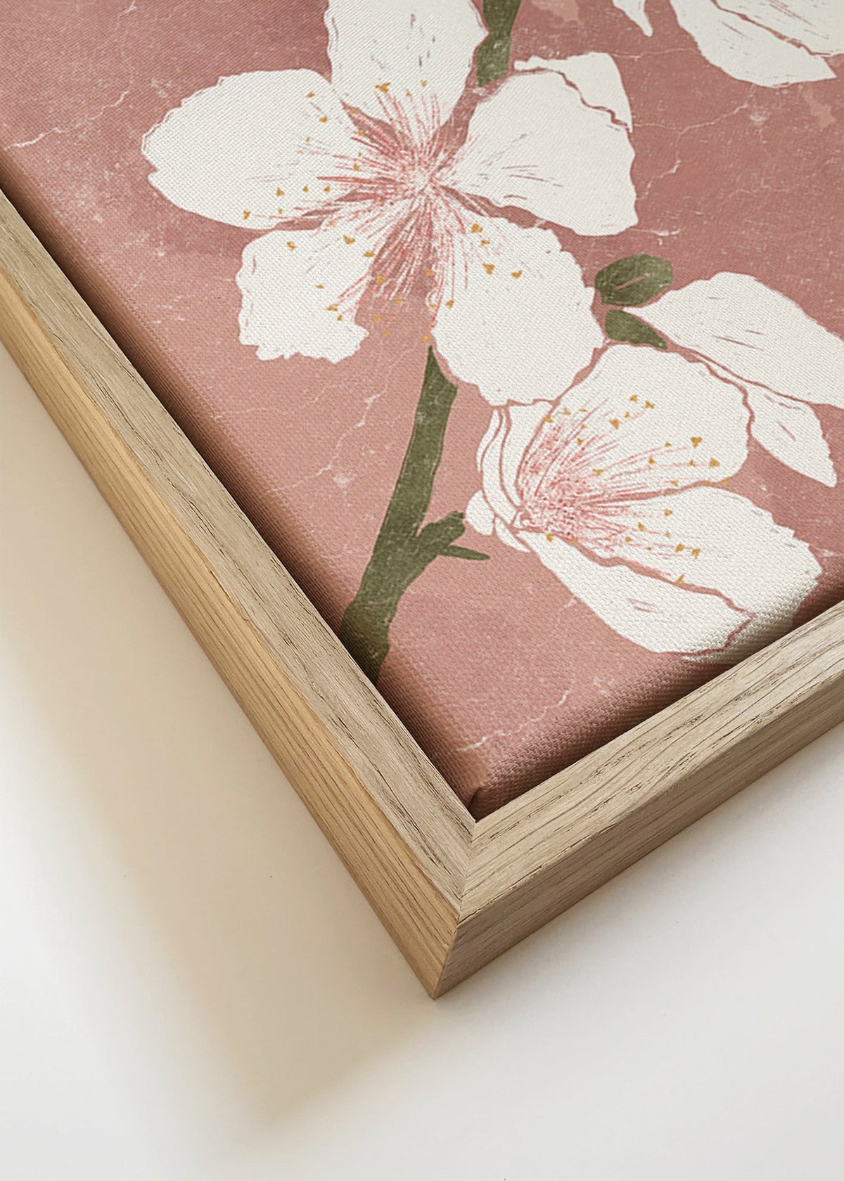 Botanisk poster med blomma på rosa bakgrund – Canvas detail